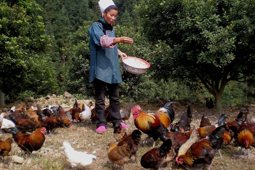 �Ž������С���u���Nȫ�����D��