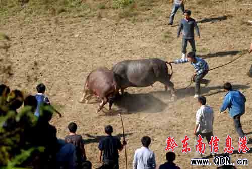 ��կ�h�P���l�f�˹��c���¹����D��