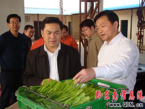 ����ï���Ž�����ָ���������M�D��