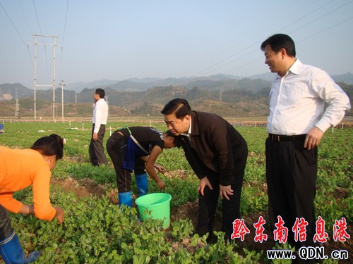 ����ï���Ž�����ָ���������M�D��