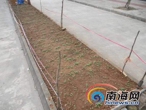 �M�D���������񲻿��߲˃r���R·�G�����N��