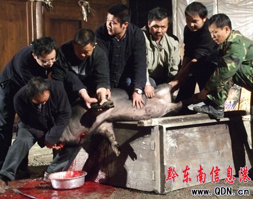 ��������������կ���Ĳع����L��ӛ���D��