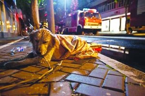 �Ϻ���ĬF������С�����Բ��ȵ����˳��F(�D)