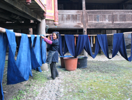 黎平搶救侗族藍靛靛染工藝(圖)