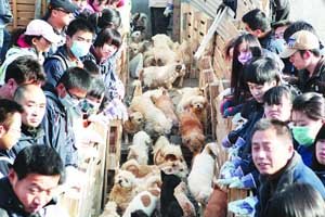 �����ѿ�·���@�����cխ��