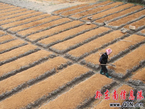 ��ɽ�h�r�����ö��e�����r���������(�D)