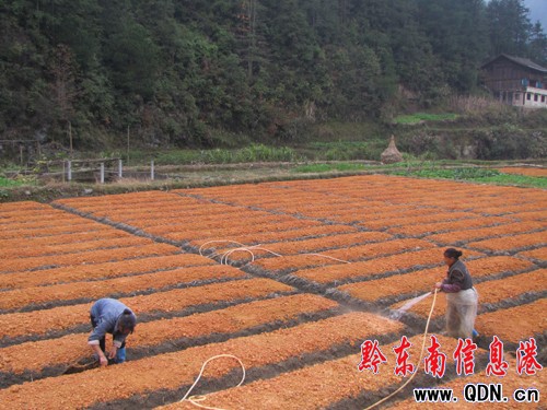 ��ɽ�h�r�����ö��e�����r���������(�D)