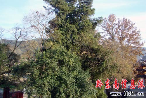 �\���h��`�l ��������������(�M�D)