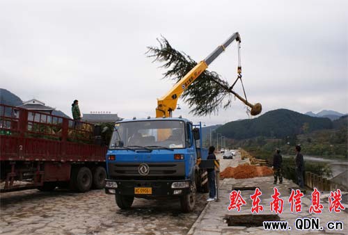 ���Ӽӿ���н��O����600�f�������F���^��(�D)