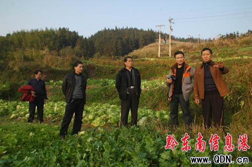 ʡ����ֵ������hָ��������w����