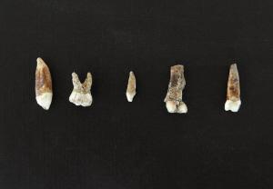 �ڸ�ʲķɽ���аl(f��)�F(xi��n)�����X��ʯ