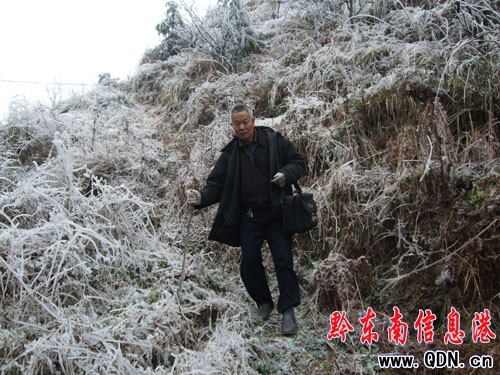 農民記者張希才冒著凝凍堅持下鄉采訪(圖)