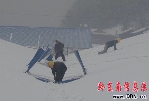 �\�����ι��I(y��)�@�^(q��)�S�����eѩ���� �pʧ500���f