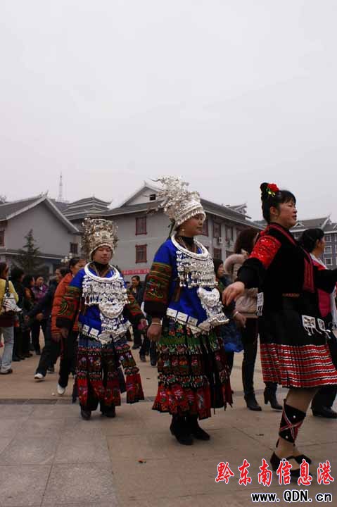 ���Úg���o�f�q ����Ⱥ������[�[�^���꣨�D��