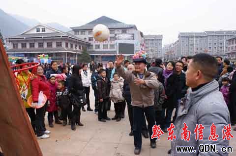 ���Úg���o�f�q ����Ⱥ������[�[�^���꣨�D��