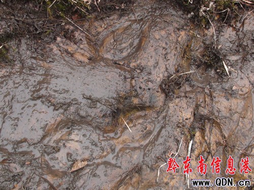 �����l�F�R���Ύrӡ���M�D��