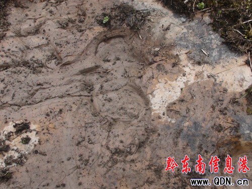 �����l�F�R���Ύrӡ���M�D��