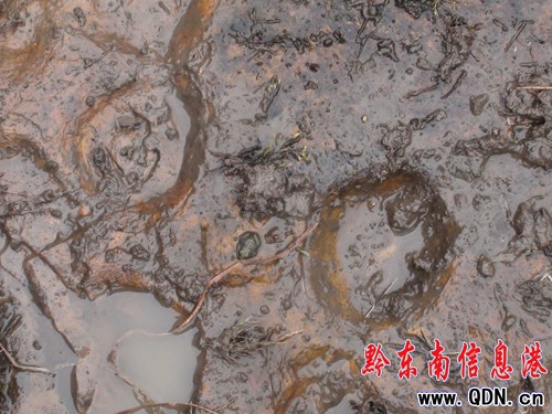 �����l�F�R���Ύrӡ���M�D��