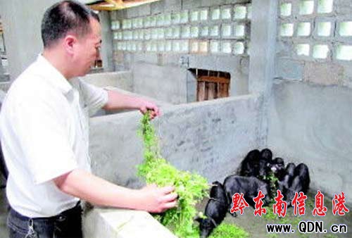 ���i�ġ����ǣ����u�顰�F��ʡ�μ��l���˲š�