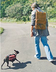 �����ٳ��J���� ��Т�쌑΢����ʾ������(�D)