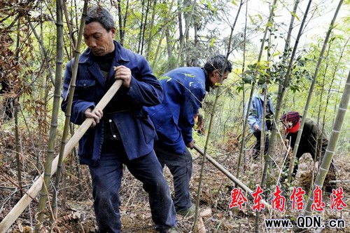 �M��׃���� ��ɽ׃��ɽ ����׃�L��