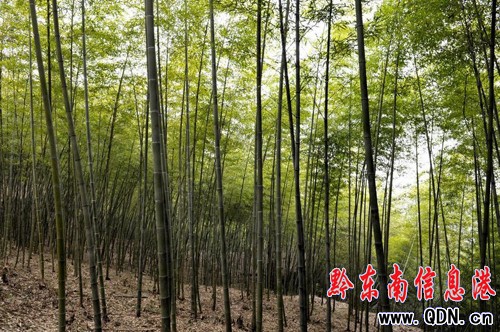 �M��׃���� ��ɽ׃��ɽ ����׃�L��