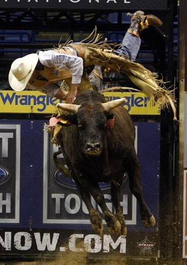 組圖:美國騎牛大賽驚險(xiǎn)萬分 騎士斗膽公牛