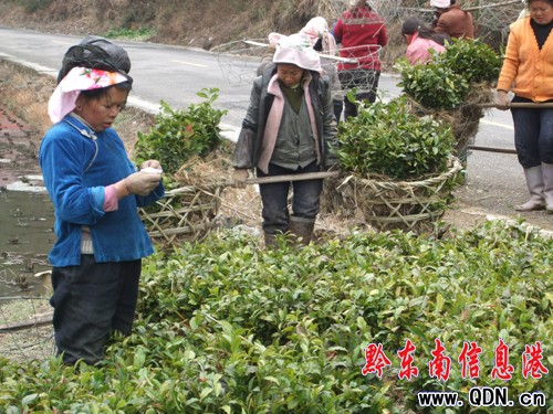 ��ɽ�r��L�����~���^�N��æ���D��