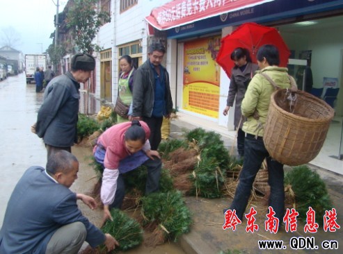 �\��ɼľ���N�ۃr(ji��)һ·�߸ߣ��D��