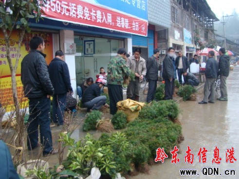 �\��ɼľ���N�ۃr(ji��)һ·�߸ߣ��D��