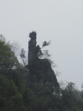 ӡ��ǭ�|�ϣ�̤�������(y��ng)�ӣ��D��