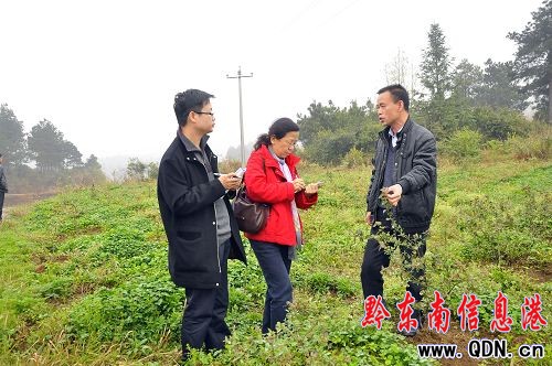 ������?q��ng)?b��o)����L�F(tu��n)���齭�h��˾�(zh��n)���죨�M�D��