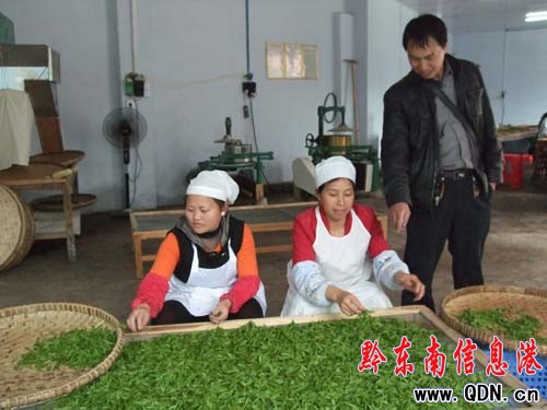 ��ɽ�h�G�~���I(y��)��˾�ӹ����~æ���D��