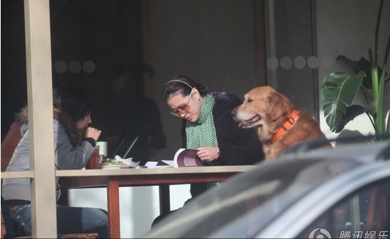 �ܺ������˴����s���� ϯ�g�������F�ǐ�Ȯ(�D)