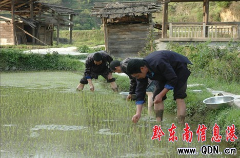 ��ƽ�h�ƌW(xu��)������4�f�஀���D��