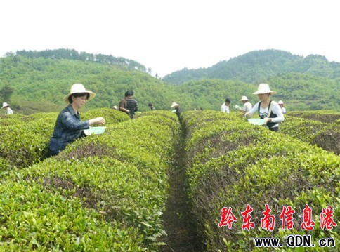 �어������вɲ�æ �h���ɲ����æ���D��