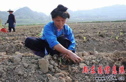 ��կ�����l�����ԟ�æ���M�D��