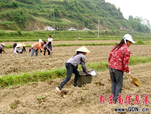 ��2�f�஀�r(n��ng)�����ܺ� ���fȺ������������