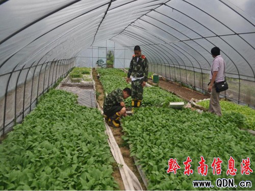 �f�꟟����ȱˮ��ή �齭������ˮ����ʩ�ȣ��D��