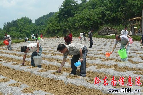 �얽�4�f���r(n��ng)�����ܞ�(z��i)���D��