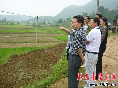 �얿hί���h������ֿ϶����������D��