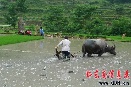 �����硱�ѹ�����â�N��(�M�D)