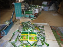 �ݡ������Є� �ɹ��v��һ�rˎ�ƼٸC�c(�D)