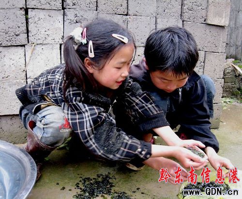 楊純松和他的4個(gè)未成年“子女”(圖)