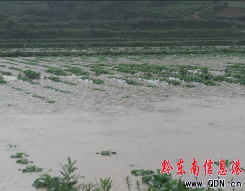 ��h����5С�r����108.6�L ����ٳɝ����D��