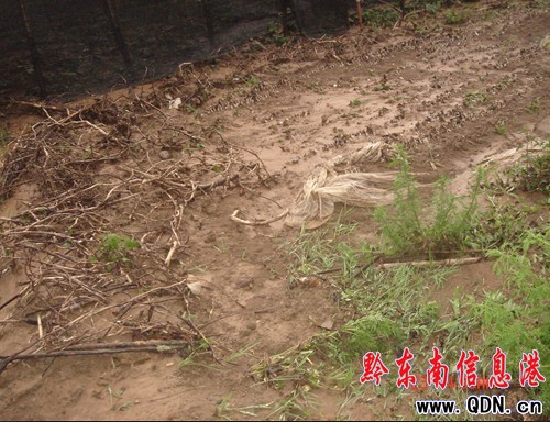 �Sƽ���y�����Ի��ؑK�Ⱪ���u�����M�D��