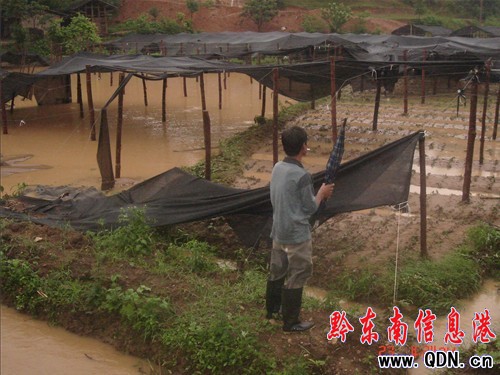 �Sƽ���y�����Ի��ؑK�Ⱪ���u�����M�D��