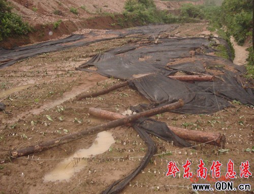 �Sƽ���y�����Ի��ؑK�Ⱪ���u�����M�D��