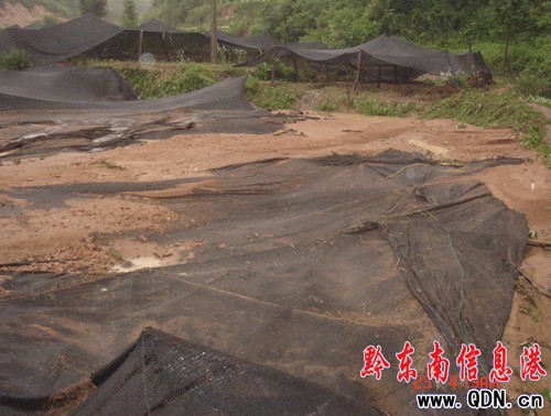 �Sƽ���y�����Ի��ؑK�Ⱪ���u�����M�D��