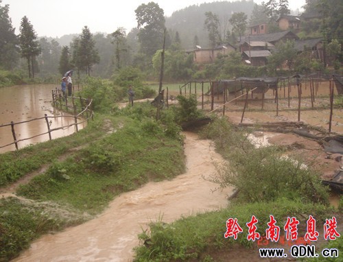 �Sƽ���y�����Ի��ؑK�Ⱪ���u�����M�D��